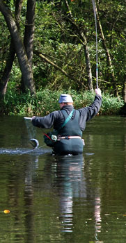 Ein Fisch hängt an der Angel.